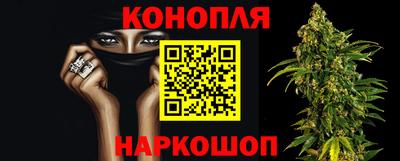 дмт Краснодар