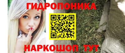 дмт Краснодар