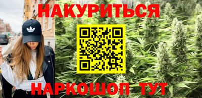 дмт Краснодар